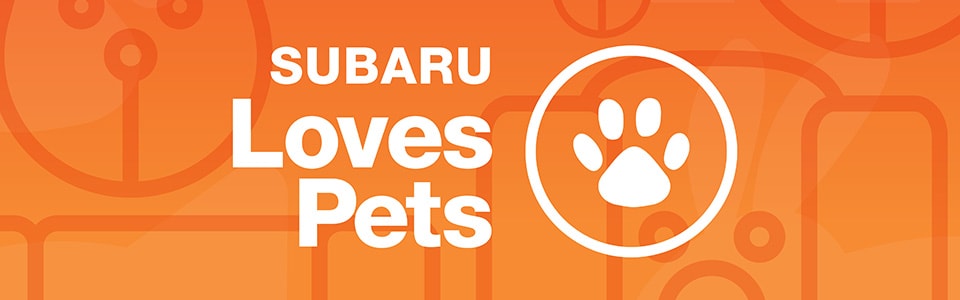 Subaru Loves Pets Banner