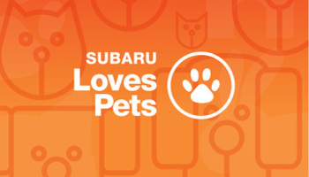 Subaru Love Pets